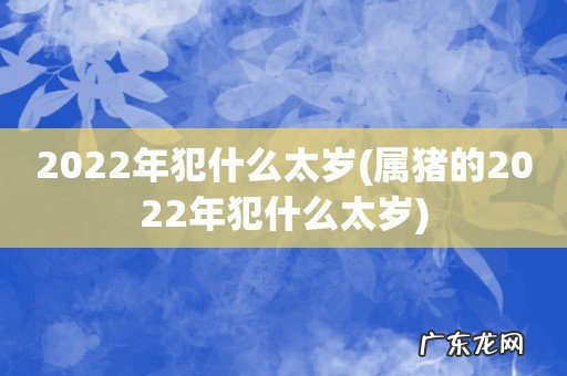 属猪的2022年犯什么太岁 2022年犯什么太岁