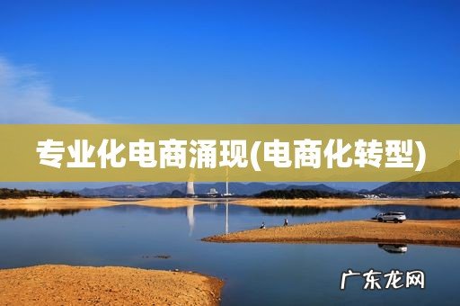 电商化转型 专业化电商涌现