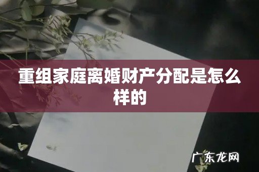 重组家庭离婚财产分配是怎么样的