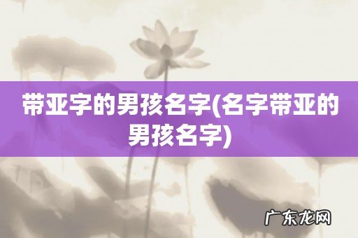 名字带亚的男孩名字 带亚字的男孩名字