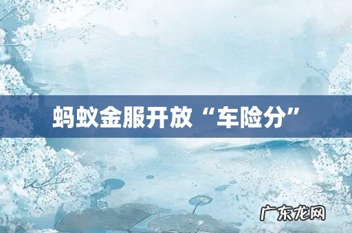 蚂蚁金服开放“车险分”