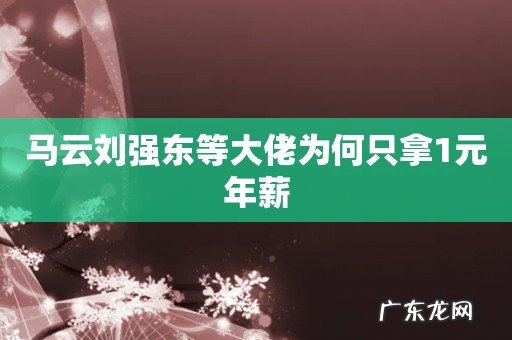 马云刘强东等大佬为何只拿1元年薪