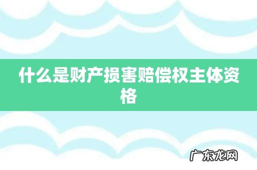什么是财产损害赔偿权主体资格