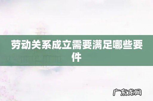 劳动关系成立需要满足哪些要件