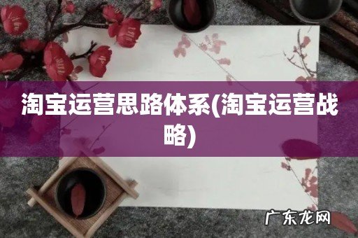 淘宝运营战略 淘宝运营思路体系