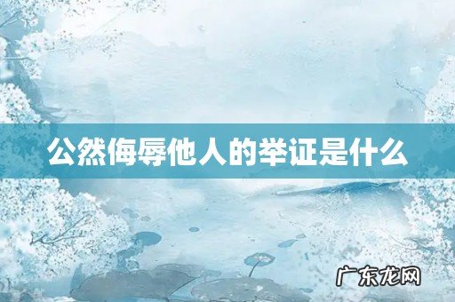 公然侮辱他人的举证是什么