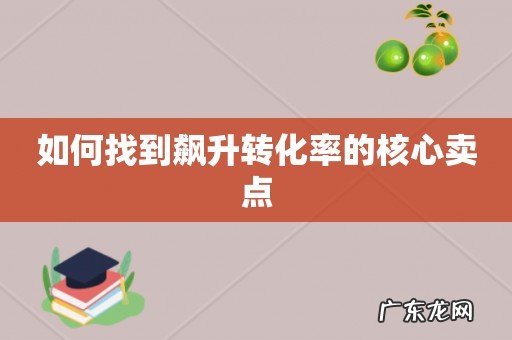 如何找到飙升转化率的核心卖点