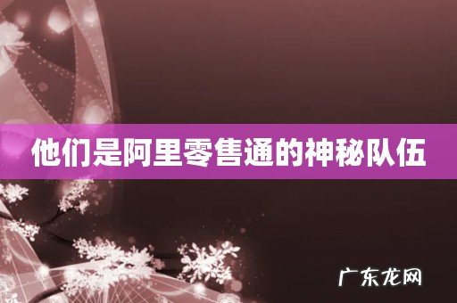 他们是阿里零售通的神秘队伍