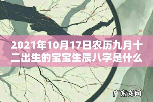 2021年10月17日农历九月十二出生的宝宝生辰八字是什么