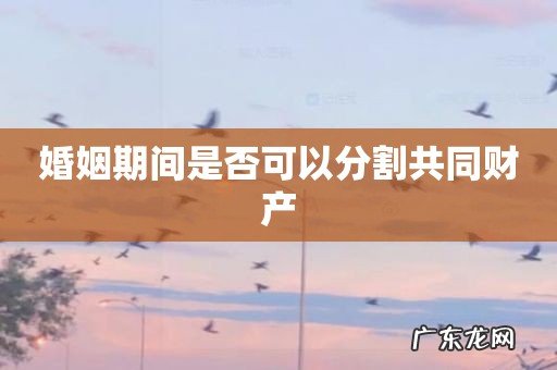 婚姻期间是否可以分割共同财产