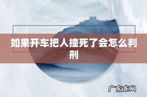 如果开车把人撞死了会怎么判刑