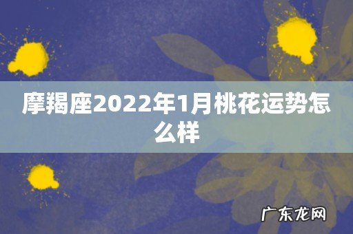 摩羯座2022年1月桃花运势怎么样