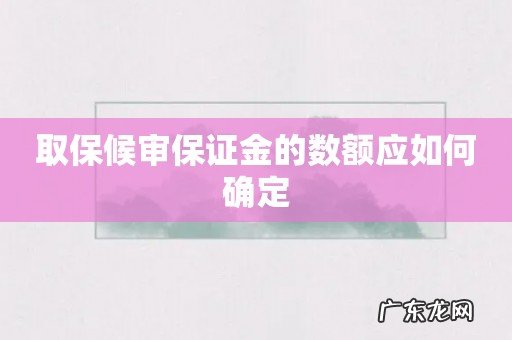 取保候审保证金的数额应如何确定