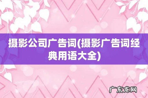 摄影广告词经典用语大全 摄影公司广告词