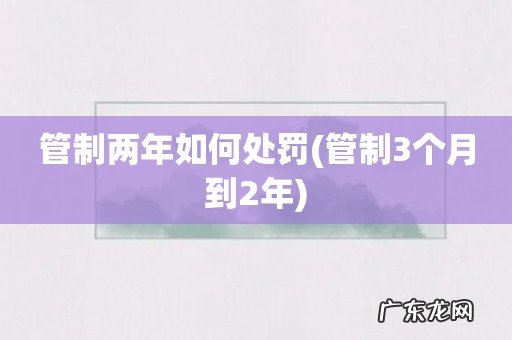 管制3个月到2年 管制两年如何处罚