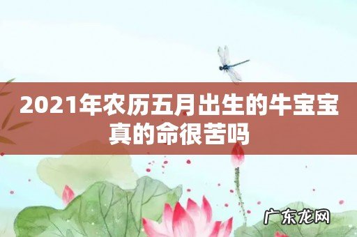 2021年农历五月出生的牛宝宝真的命很苦吗