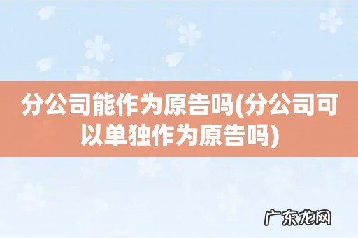 分公司可以单独作为原告吗 分公司能作为原告吗