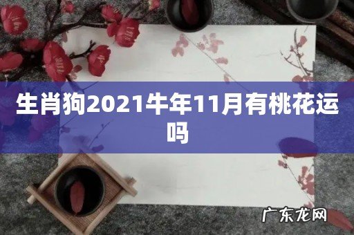 生肖狗2021牛年11月有桃花运吗