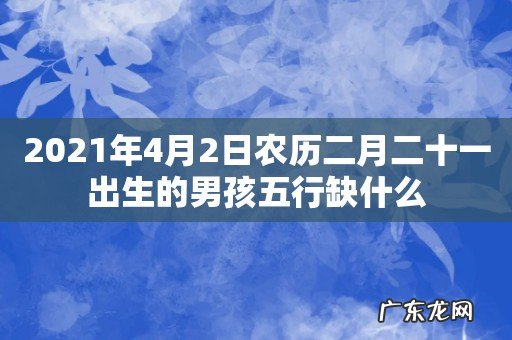 2021年4月2日农历二月二十一出生的男孩五行缺什么