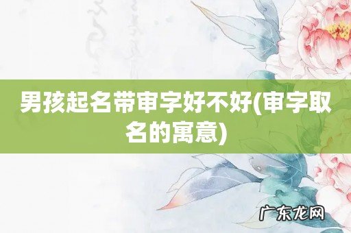 审字取名的寓意 男孩起名带审字好不好
