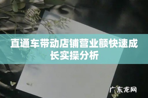 直通车带动店铺营业额快速成长实操分析