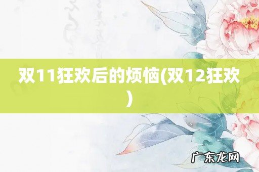 双12狂欢 双11狂欢后的烦恼