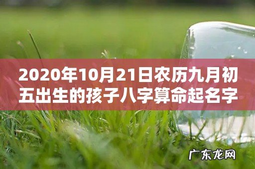2020年10月21日农历九月初五出生的孩子八字算命起名字