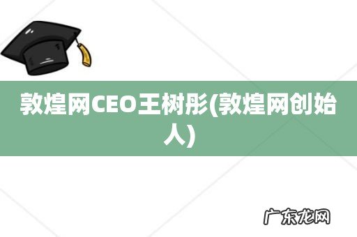 敦煌网创始人 敦煌网CEO王树彤