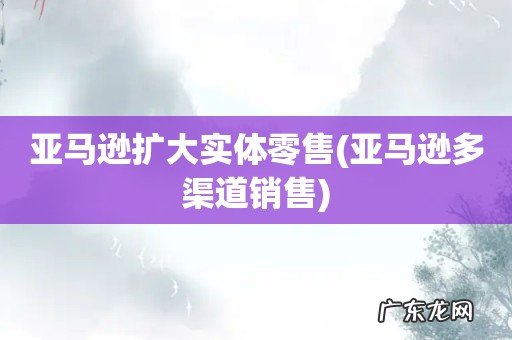 亚马逊多渠道销售 亚马逊扩大实体零售