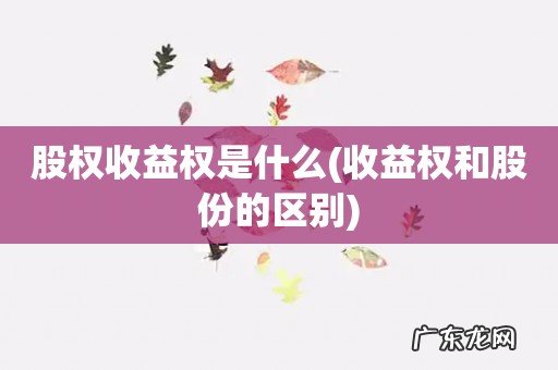 收益权和股份的区别 股权收益权是什么
