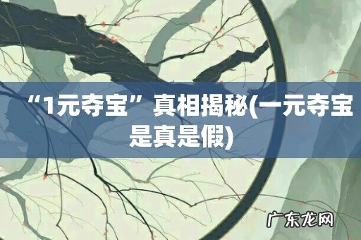 一元夺宝是真是假 “1元夺宝”真相揭秘