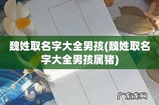 魏姓取名字大全男孩属猪 魏姓取名字大全男孩