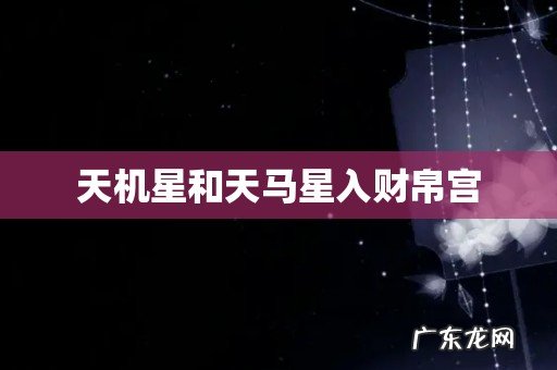 天机星和天马星入财帛宫