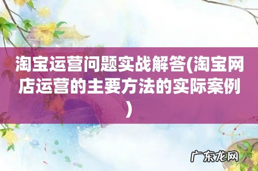 淘宝网店运营的主要方法的实际案例 淘宝运营问题实战解答