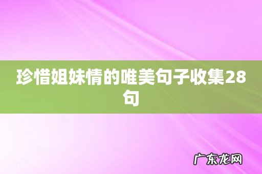 珍惜姐妹情的唯美句子收集28句