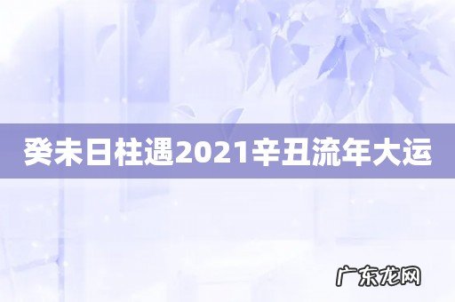 癸未日柱遇2021辛丑流年大运