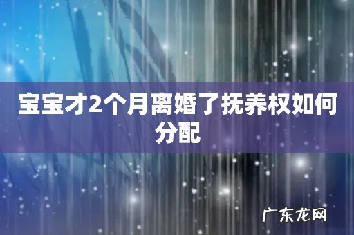宝宝才2个月离婚了抚养权如何分配