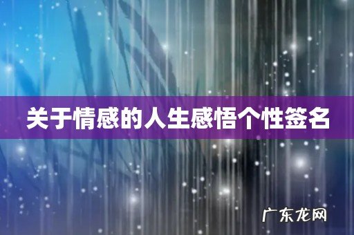 关于情感的人生感悟个性签名