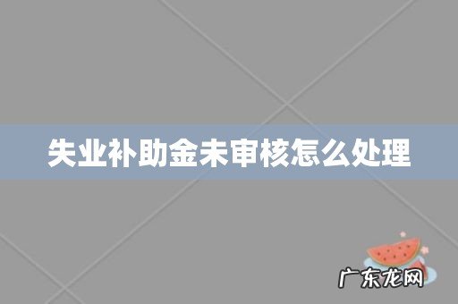 失业补助金未审核怎么处理