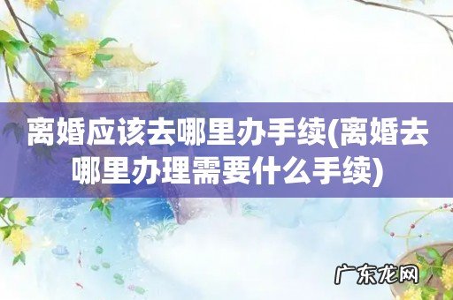 离婚去哪里办理需要什么手续 离婚应该去哪里办手续