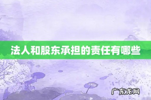 法人和股东承担的责任有哪些