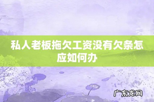 私人老板拖欠工资没有欠条怎应如何办