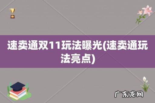 速卖通玩法亮点 速卖通双11玩法曝光