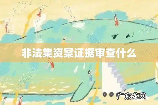 非法集资案证据审查什么