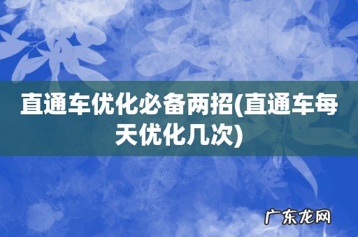 直通车每天优化几次 直通车优化必备两招