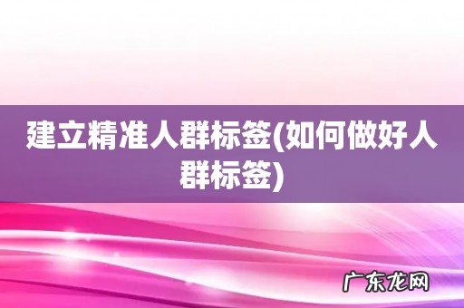 如何做好人群标签 建立精准人群标签