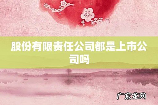 股份有限责任公司都是上市公司吗