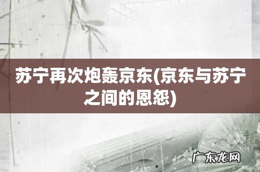 京东与苏宁之间的恩怨 苏宁再次炮轰京东