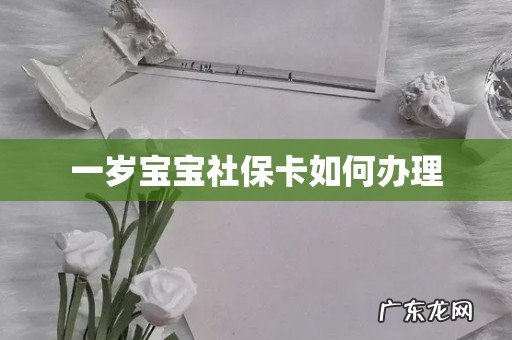 一岁宝宝社保卡如何办理