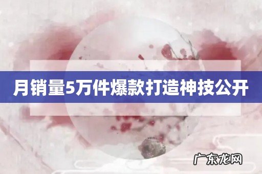 月销量5万件爆款打造神技公开